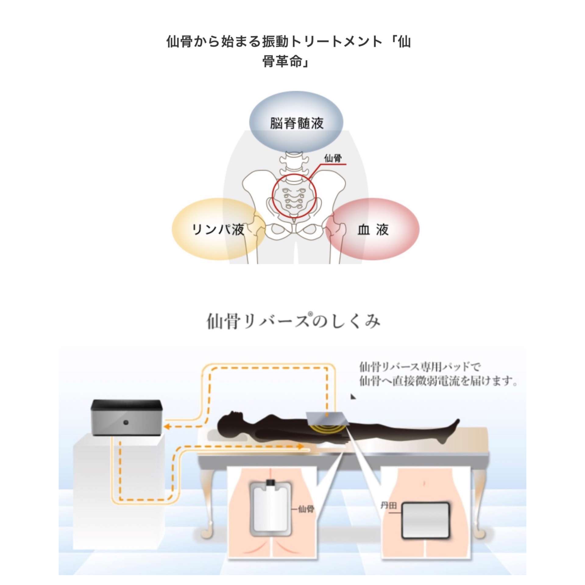 人生初の腰痛になりました(*_*) | BLOG | 名東区のエステならデトックスリンパ&エイジレスビューティー shine【シャイン】